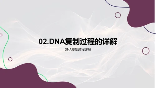 DNA复制高中教学