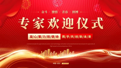 红色喜庆科技风专家欢迎仪式欢迎专家莅临指导ppt模板