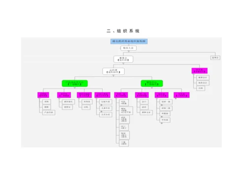 药业有限公司员工手册模板.docx