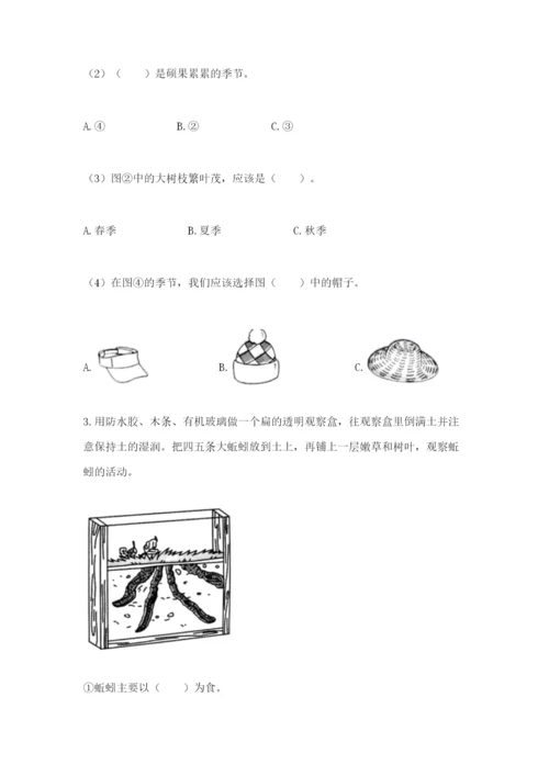 教科版小学二年级上册科学期末测试卷附完整答案（夺冠系列）.docx