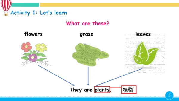 Unit 4 Plants around us 第5课时课件（共22张PPT）