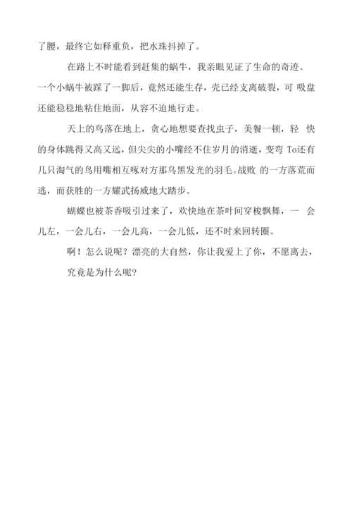 三年级作文观察大自然350字.docx