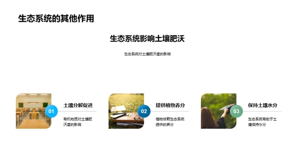 探索生态系统