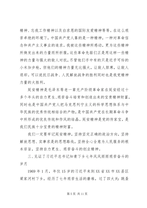 延安精神教育心得三篇.docx