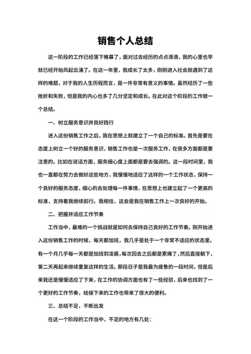 销售个人总结word模板