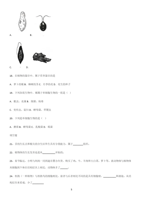 通用版初中生物七年级上册第二单元生物体的结构层次解题技巧总结.docx