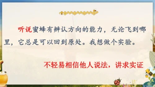 14《蜜蜂》课件