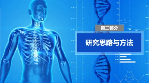 人体奥秘医学解剖学学术论文通用PPT模版