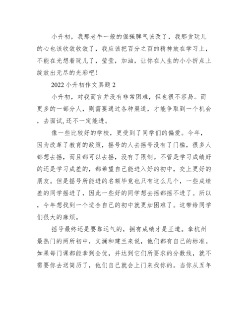 2022小升初作文真题精选八篇.docx