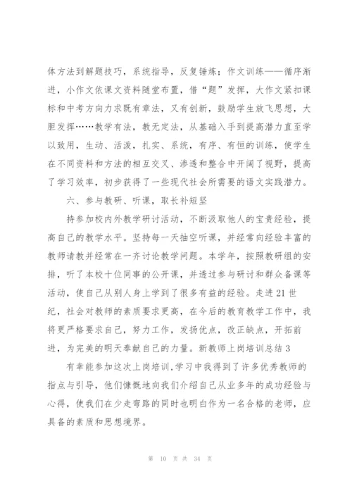 新教师上岗培训总结.docx