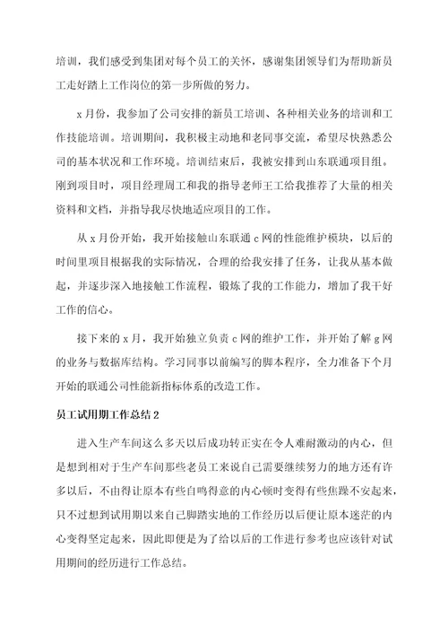 员工试用期工作总结范例