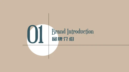 中年女性服装品牌营销策划通用PPT