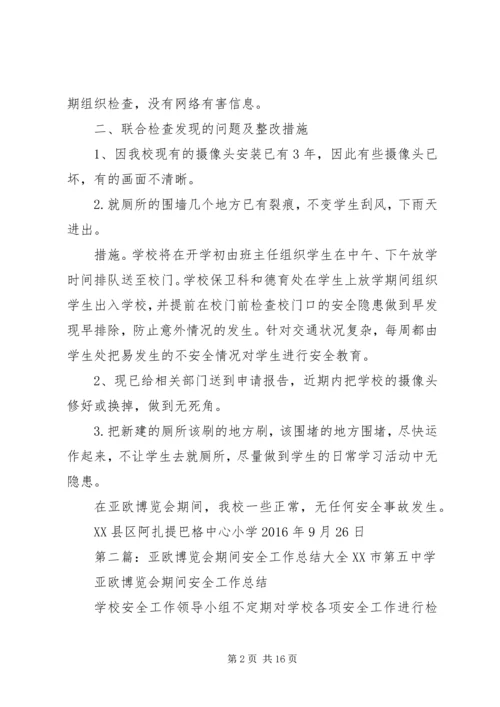 亚欧博览会期间安全工作总结.docx