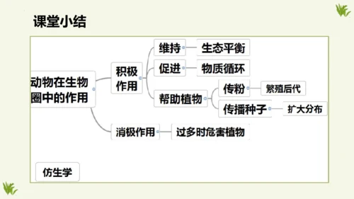 人教版生物八年级上册5.3《动物在生物圈中的作用》课件(共20张PPT)