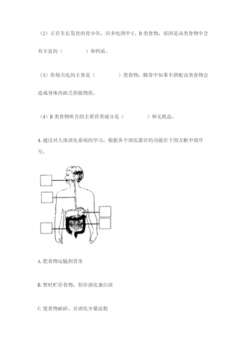 教科版四年级上册科学期末测试卷精品（能力提升）.docx