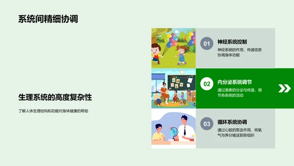 人体生理系统讲解