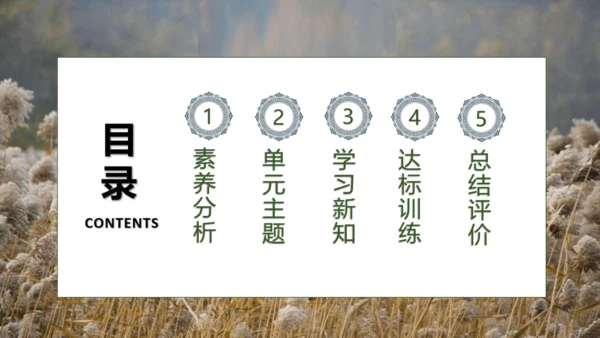【核心素养】部编版语文四年级下册-21.芦花鞋（课件）