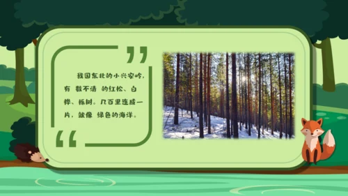 绿色卡通《美丽的小兴安岭》通用PPT课件