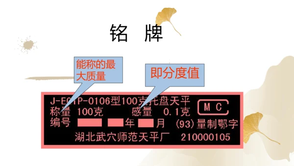 6.1质量（课件）(共29张PPT) -2023-2024学年八年级物理上册同步精品课堂（人教版）