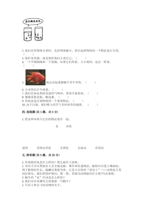 教科版一年级下册科学期末测试卷附答案（考试直接用）.docx