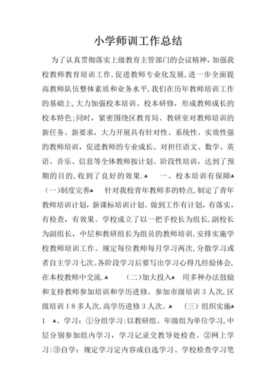 小学师训工作总结.docx