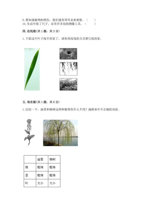 教科版一年级上册科学期末测试卷可打印.docx