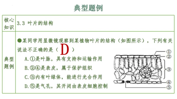 第三单元 植物的生活（单元复习课件）2023-2024学年七年级生物上册同步精品课件（人教版）(共3