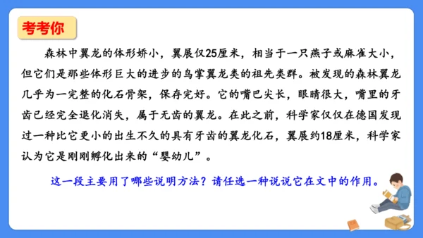 期末专项复习 说明文阅读复习（课件）-2024-2025学年语文五年级上册（统编版）