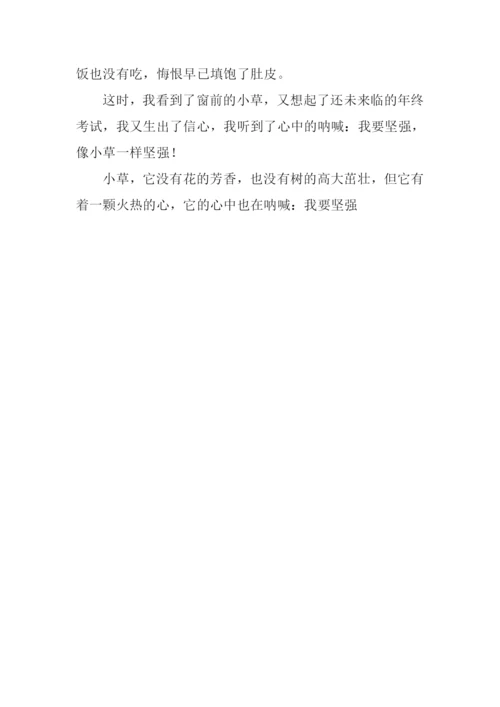 像草一样坚强作文600字.docx