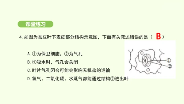 第三单元-第二章-第一节-水的利用与散失课件-2024-2025学年七年级生物下学期人教版(2024