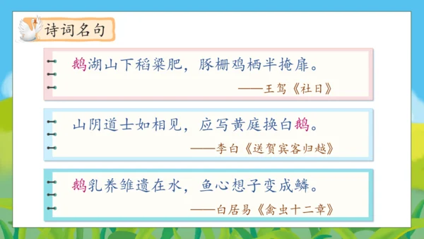 【核心素养】部编版语文四年级下册-15.白鹅 第2课时（课件）