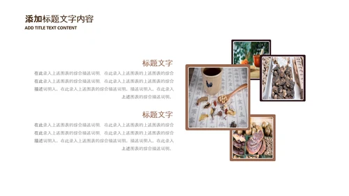 中医学养生保健医院中医文化中草药PPT