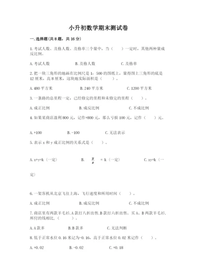 小升初数学期末测试卷审定版.docx