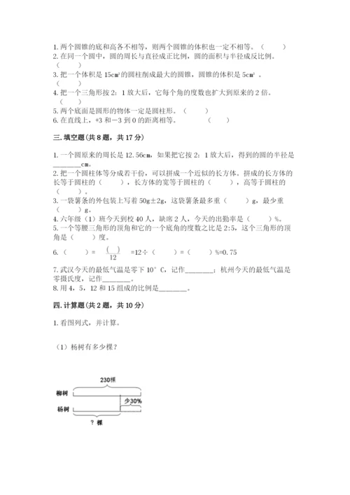 丽江地区小升初数学测试卷带答案.docx