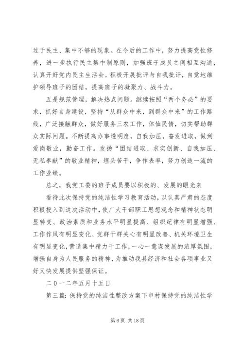 保持党的纯洁性整改提高方案.docx