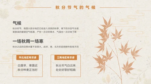 淡橙色简约中国风秋分节气PPT模板