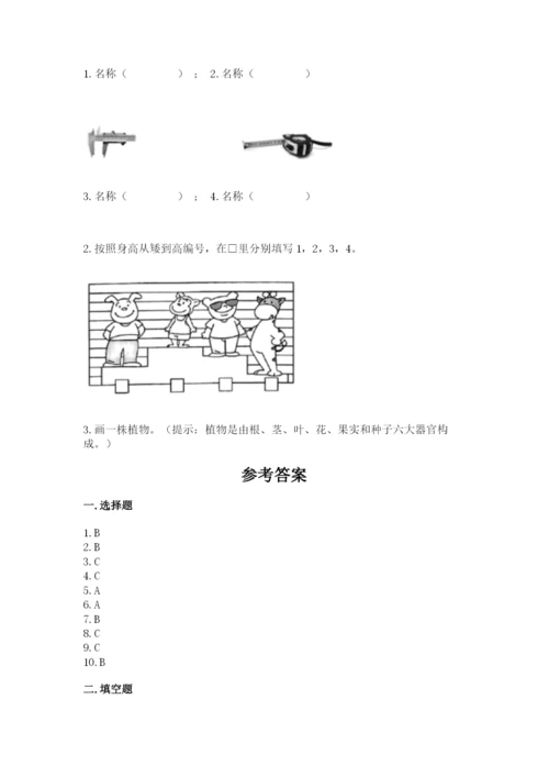 教科版一年级上册科学期末测试卷a4版.docx