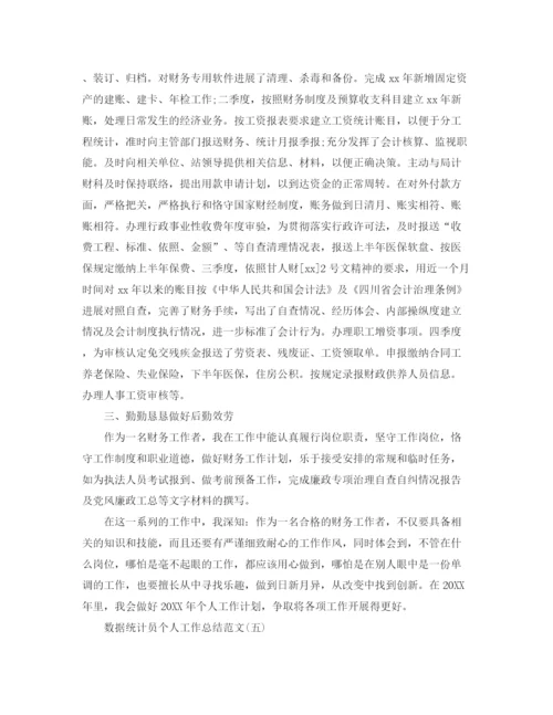 精编之数据统计员个人工作参考总结范文（通用）.docx