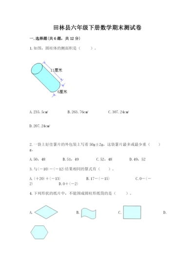 田林县六年级下册数学期末测试卷带答案.docx