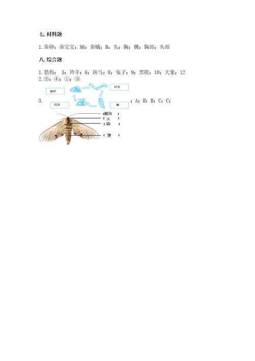 教科版小学科学三年级下册期末测试卷全国通用