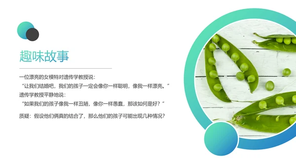 高中生物豌豆杂交实验PPT课件