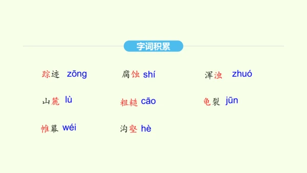 第8课 时间的脚印 统编版语文八年级下册 同步精品课件