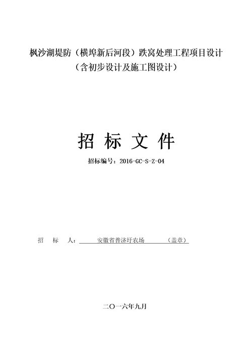 跌窝处理工程项目设计招标文件