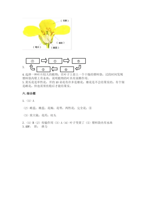 教科版科学四年级下册第一单元《植物的生长变化》测试卷参考答案.docx