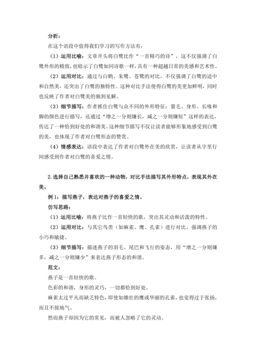 统编版2024-2025学年语文五年级上册跟着课文学写作：1.白鹭 仿写训练  运用对比表现外在美，