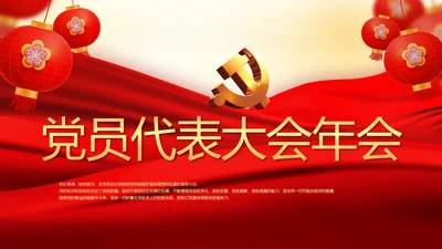 党员代表大会年会工作总结汇报PPT