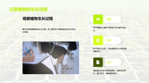 植物的奥秘世界