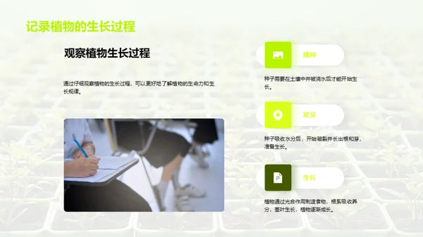 植物的奥秘世界