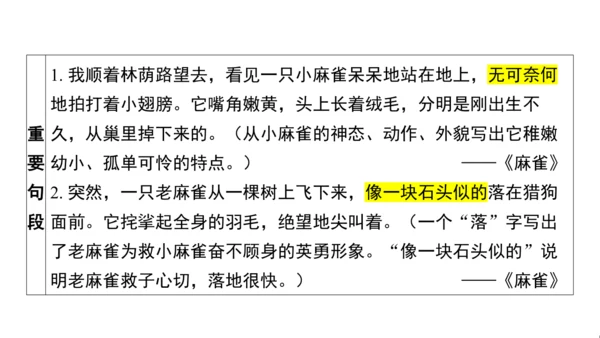 统编版语文四年级上册第五 六单元核心知识梳理课件