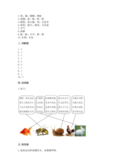 教科版一年级下册科学期末测试卷精品（典优）.docx